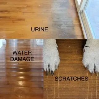 What are the most common ways my wood floors can get damaged?