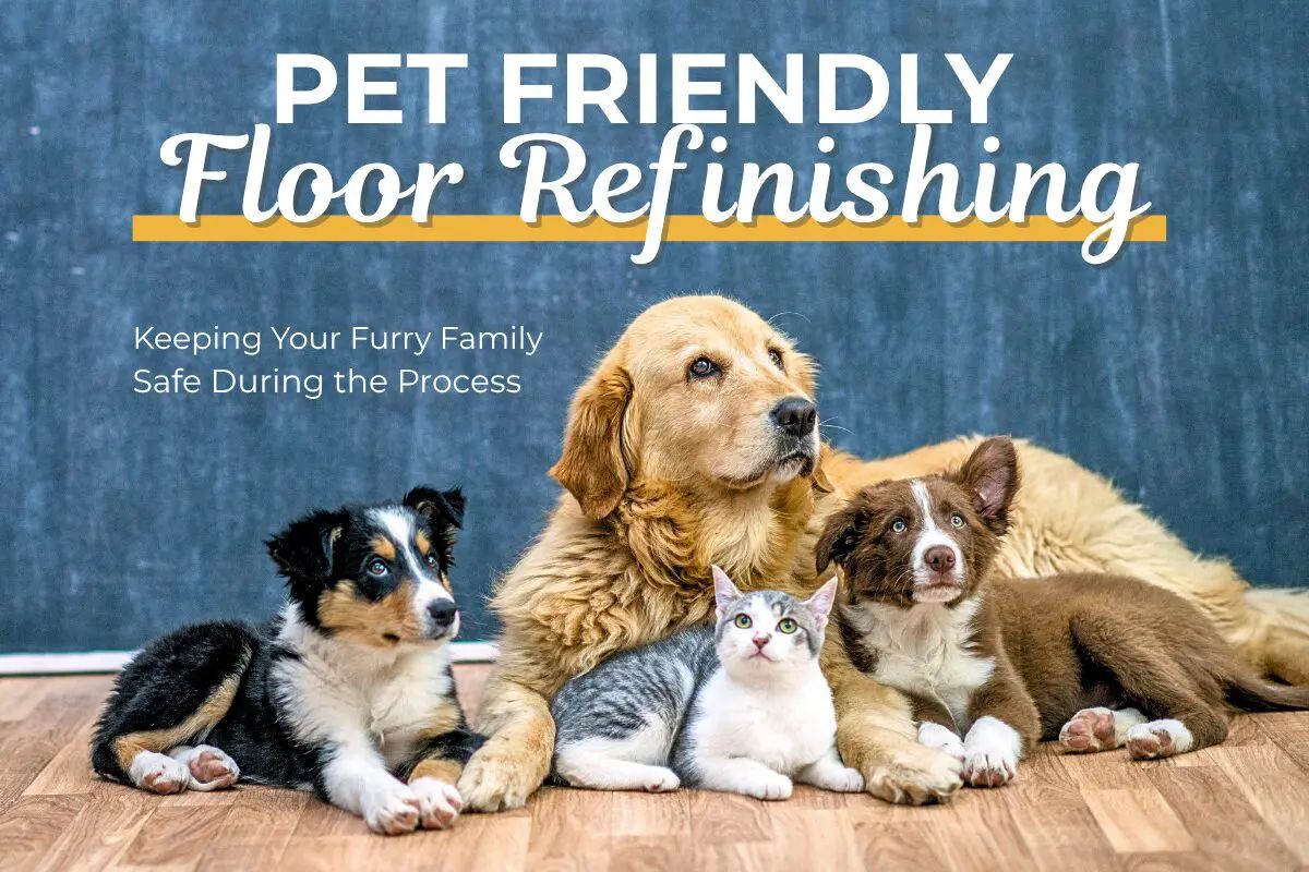 Pet-Friendly Floor Refinishing: Keeping Your Furry Family Safe During the Process