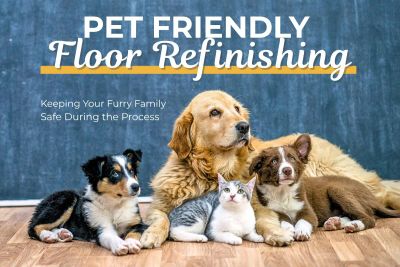 Pet-Friendly Floor Refinishing: Keeping Your Furry Family Safe During the Process