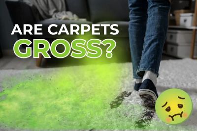Your Carpet Is Making You Sick: The Shocking Truth About What's Living In Your Floor